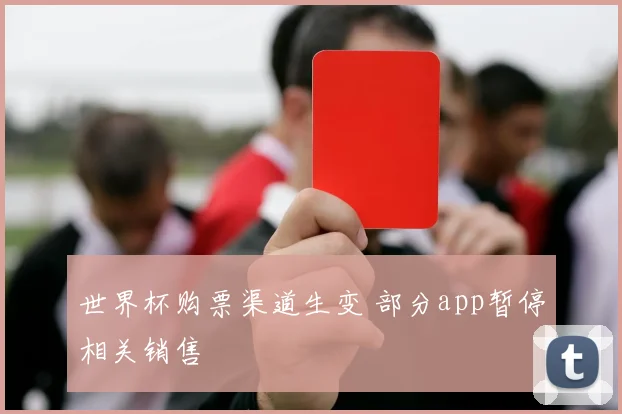 世界杯购票渠道生变 部分app暂停相关销售