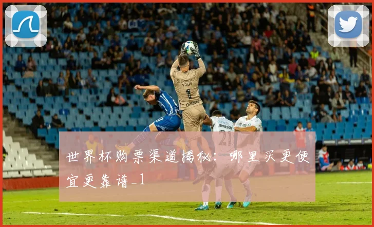 世界杯购票渠道揭秘：哪里买更便宜更靠谱_1