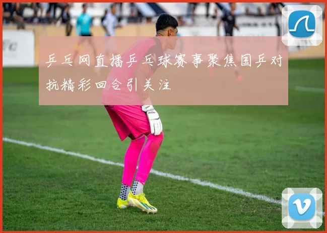 乒乓网直播乒乓球赛事聚焦国乒对抗精彩回合引关注