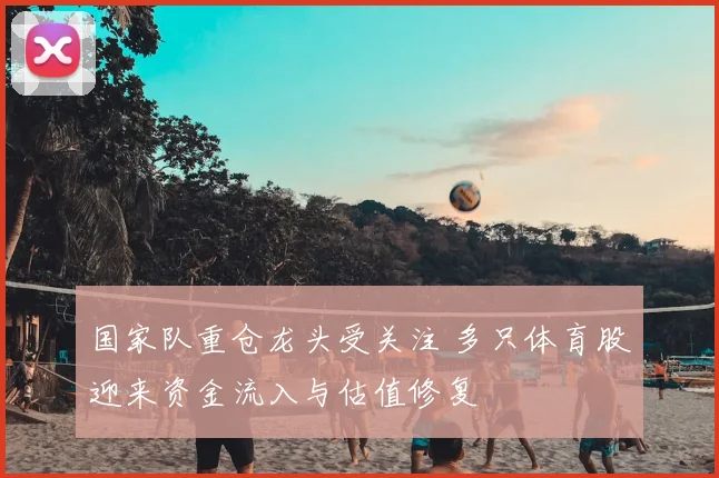 国家队重仓龙头受关注 多只体育股迎来资金流入与估值修复