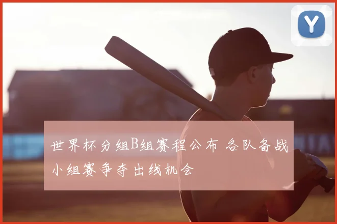 世界杯分组B组赛程公布 各队备战小组赛争夺出线机会